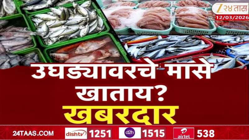Special Report Vasai FIsh