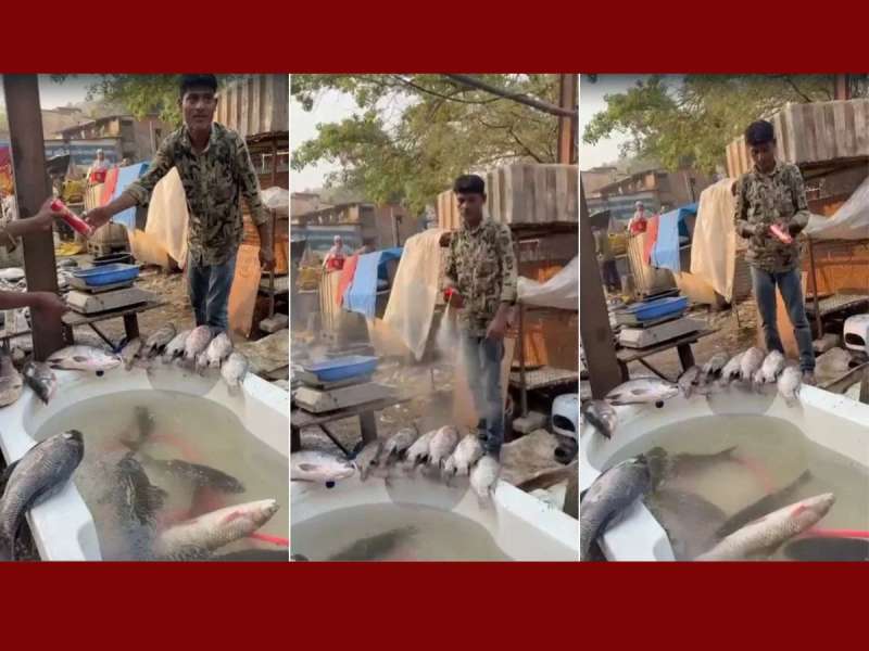 मच्छीवर कीटकनाशकांची फवारणी, कुठे घडलाय हा धक्कादायक प्रकार?