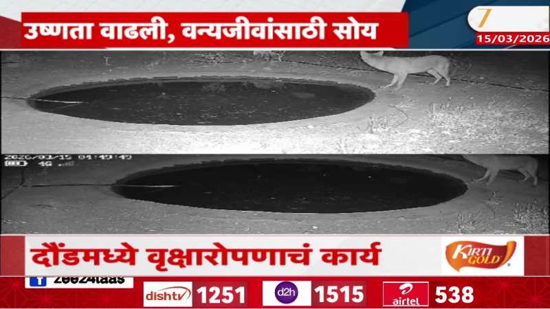 Daund Group Planting Trees From last 10 Years Also Created Ponds For Animals