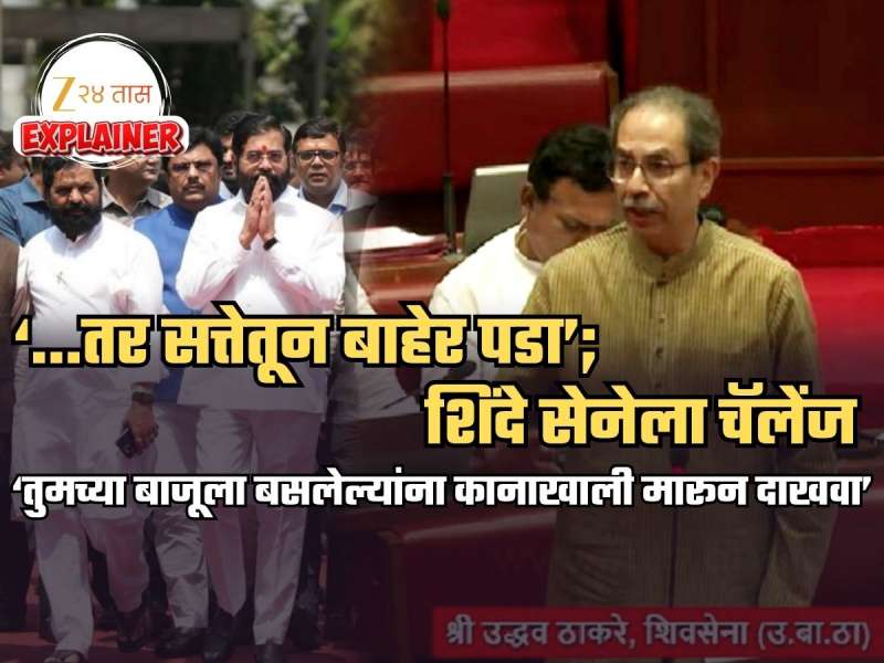 Explained: शिंदेंना सभागृहात का दिलं गेलं सत्ता सोडण्याचं चॅलेंज? नेमका विषय काय? 'मंत्री मार खात असेल तर...'