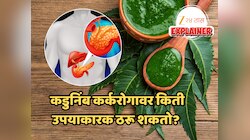 कडुनिंब ठरू शकतो गंभीर कर्करोगासाठी फायदेशीर, सर्वात मोठे संशोधन काय सांगते? 