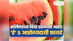 कलिंगड खाताना बिया काढून टाकताय? 'हे' आहेत 5 आरोग्यदायी फायदे 