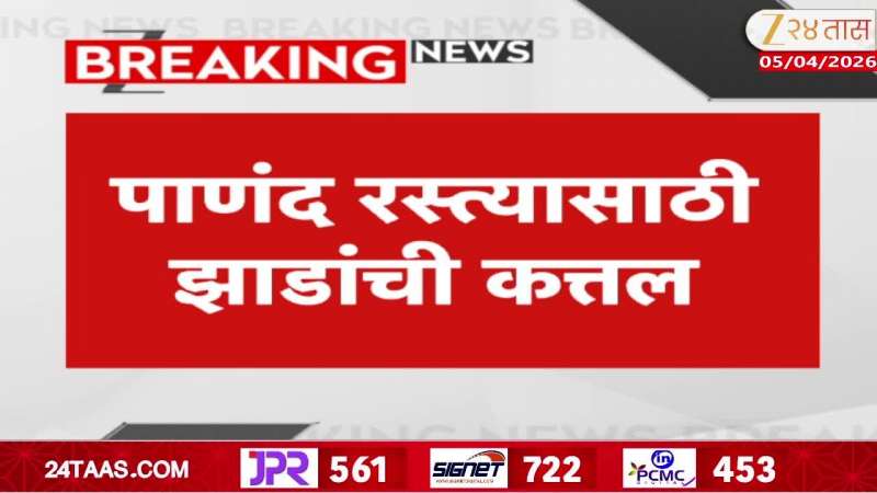 पाणंद रस्त्यासाठी झाडांची कत्तल, दोषींवर कठोर कारवाईची मागणी
