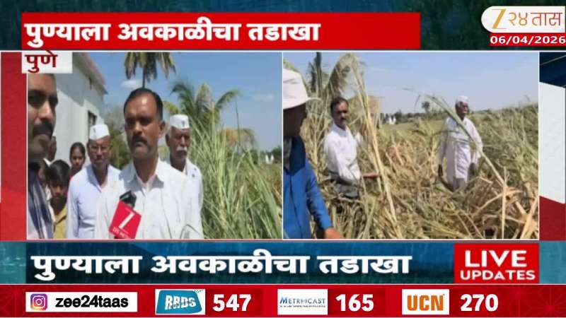 Pune Unseasonal Rain On Farmer