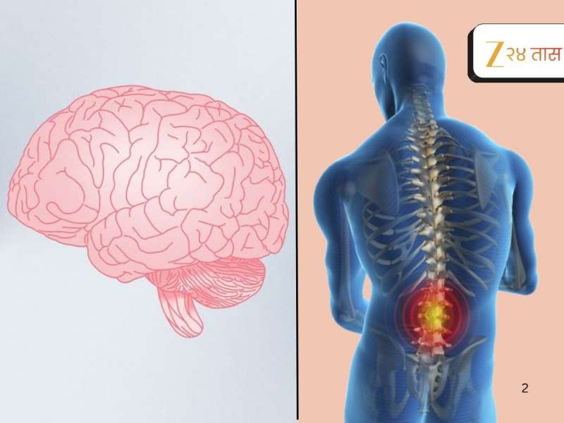 मेंदू आणि मणक्याच्या शस्त्रक्रियेत उल्लेखनीय प्रगती; रुग्णांसाठी नवे आशेचे दालन