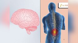 मेंदू आणि मणक्याच्या शस्त्रक्रियेत उल्लेखनीय प्रगती; रुग्णांसाठी नवे आशेचे दालन