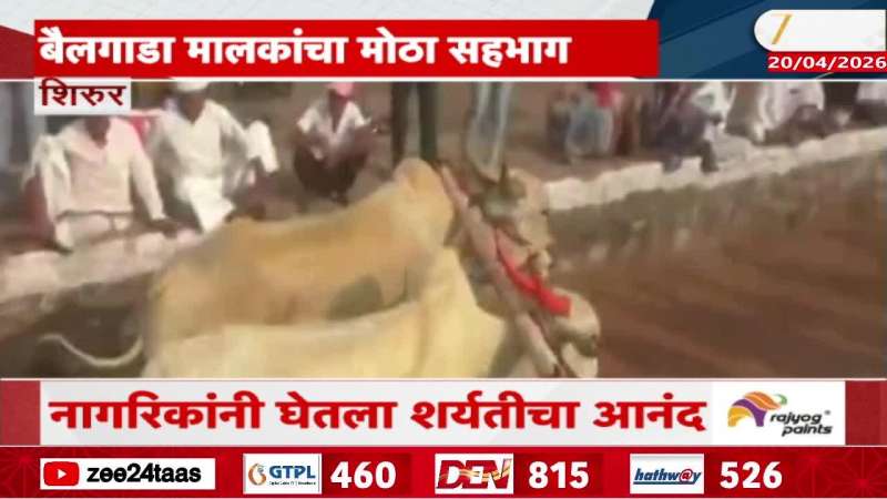 The thrill of bullock cart races in Pune