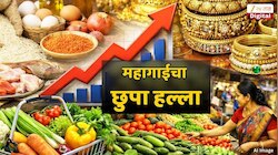 महागाईचा ‘छुपा हल्ला’; मागील 15 दिवसांत दैनंदिन वापरातील वस्तू महागल्या