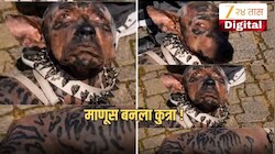 220 कोटी रुपये खर्च करून तरुण बनला 'कुत्रा'? व्हिडीओ सोशल मीडियावर व्हायरल; नेमकं सत