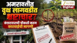 अमरावतीत वृक्ष लागवडीत भ्रष्टाचार? कंत्राटदाराची चौकशी करुन कारवाईची मागणी