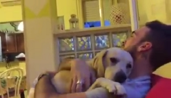 VIDEO : लडिवाळ कुत्र्याचा व्हिडिओ फेसबुकवर वायरल 