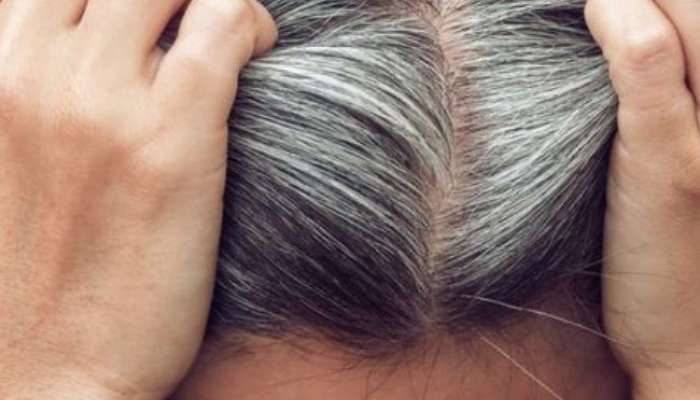 curry leaves benefits for white hairs 