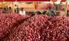 Maharashtra Onion Producing Farmers Struggle As Onion Auction Stopped By Traders Strike