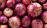 Onion Price : शेतकऱ्यांना कांदा रडवणार; केंद्र सरकारकडून 40 टक्के निर्यात शुल्क लागू