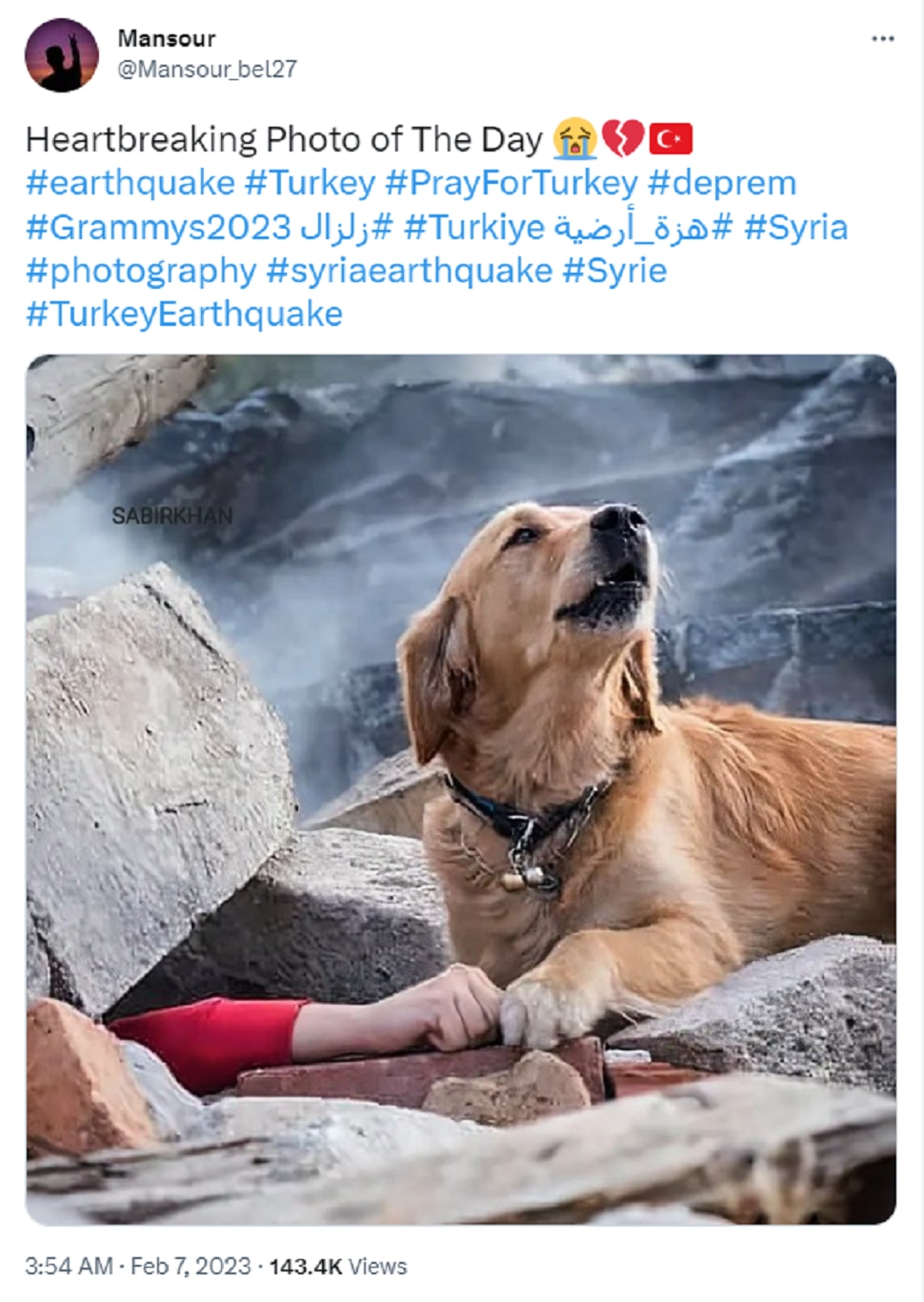 fact check Old Picture a Dog goes viral after turkey Earthquake know details latest Marati news 